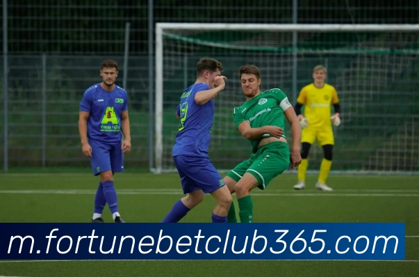 电竞直播专区